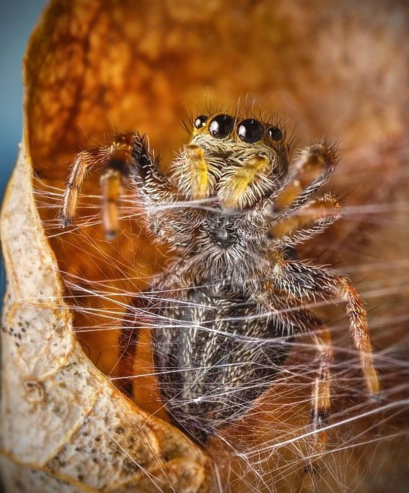 Фотография автора alltech words