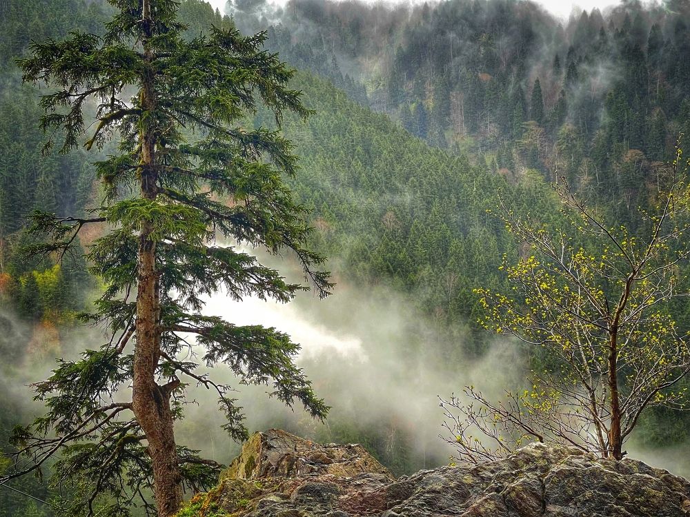 Photograph by Василий Речевский