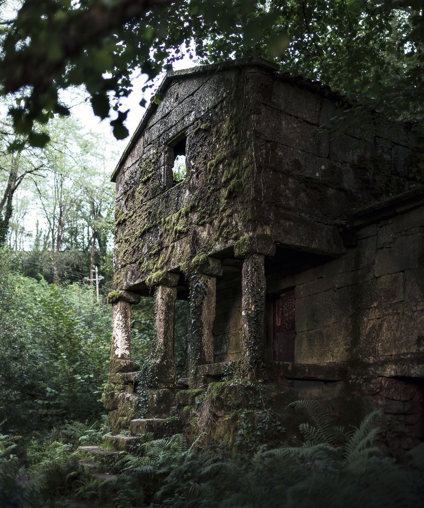 Фотография автора Aida Cea