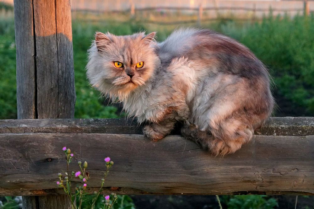 Photograph by Мишустина Татьяна