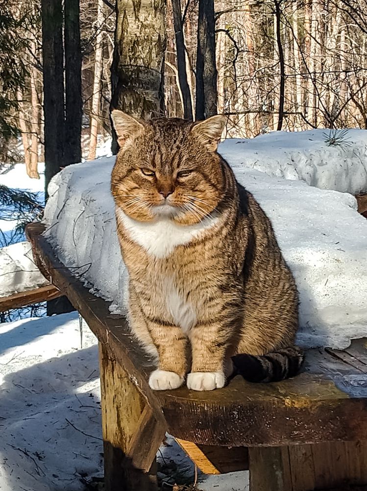 Photograph by Екатерина Горчилина