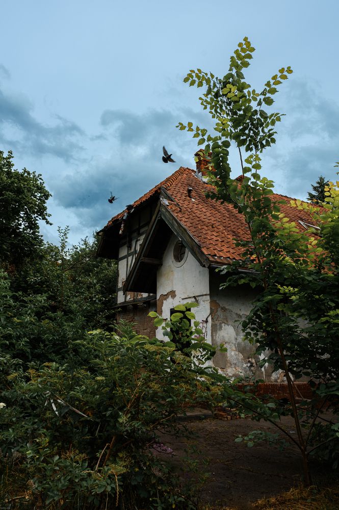 Photograph by Аверина Елена