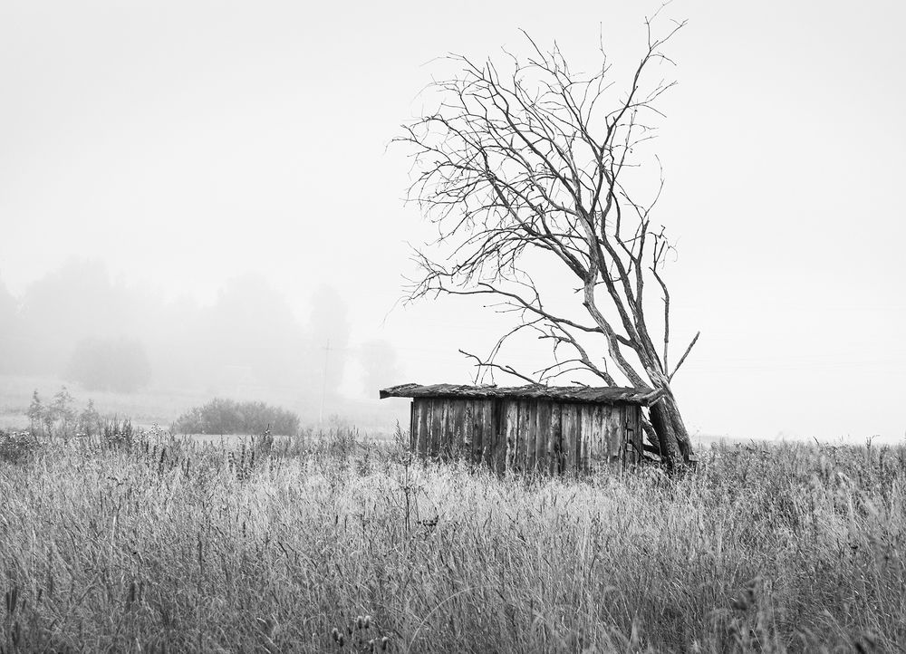 Photograph by Марина Терещенко