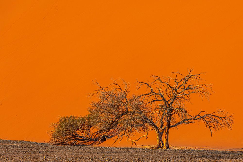 Photograph by Илья Поляк