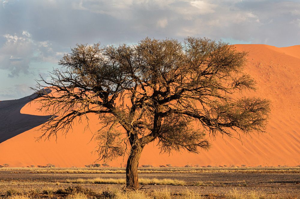 Photograph by Илья Поляк