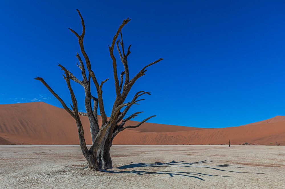 Photograph by Илья Поляк