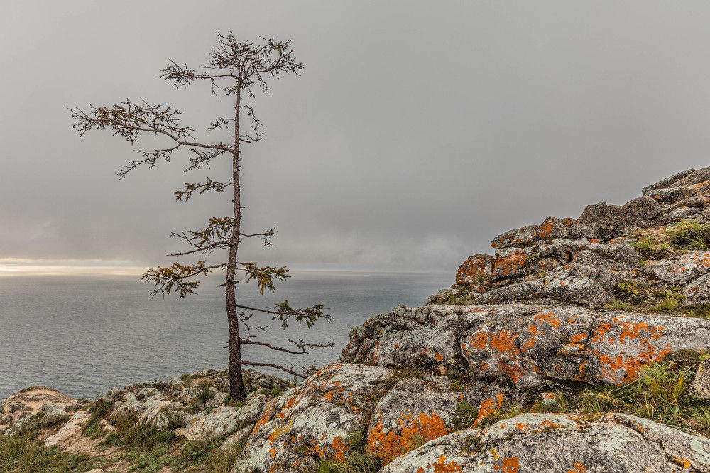 Photograph by Илья Поляк