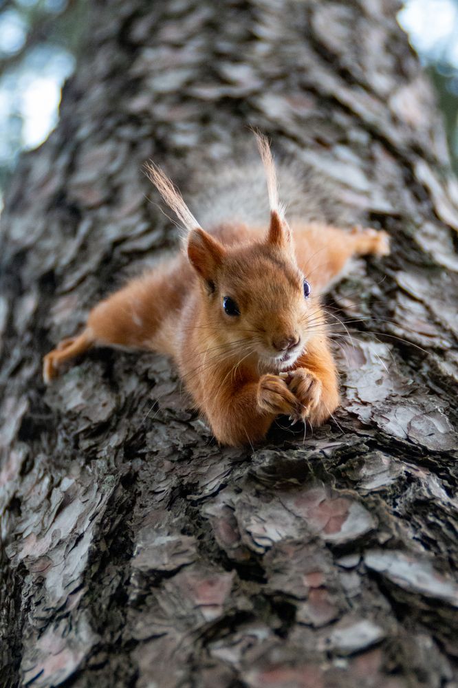 Photograph by Мария Громова