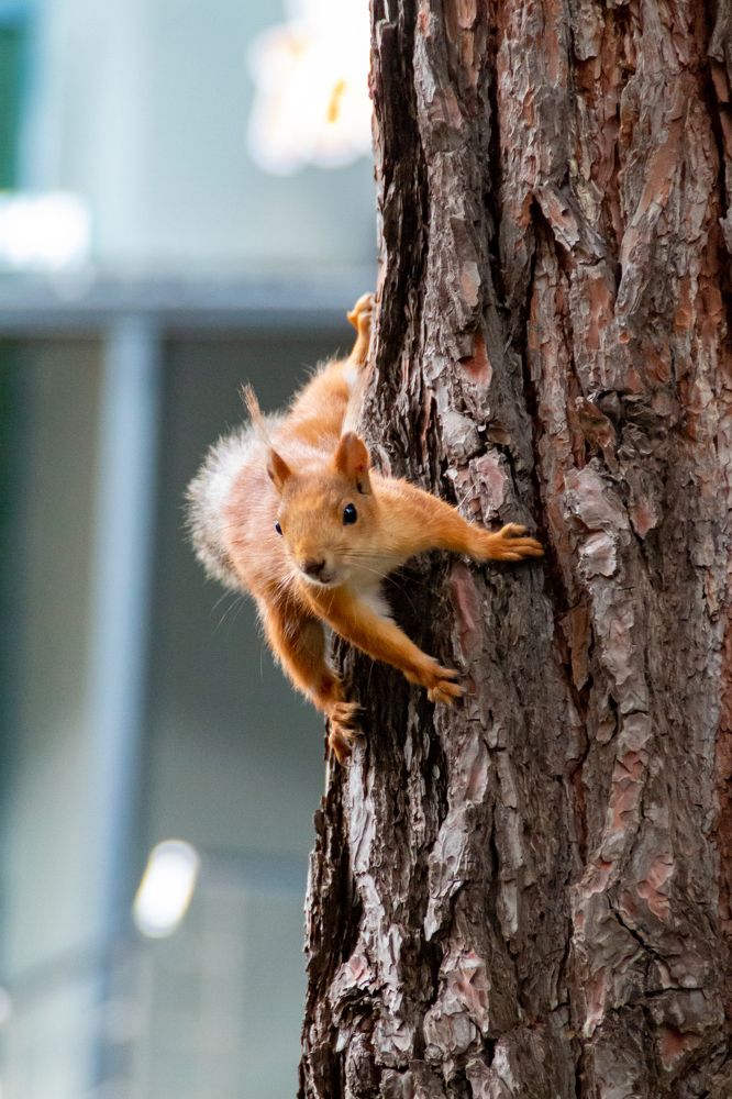 Photograph by Мария Громова