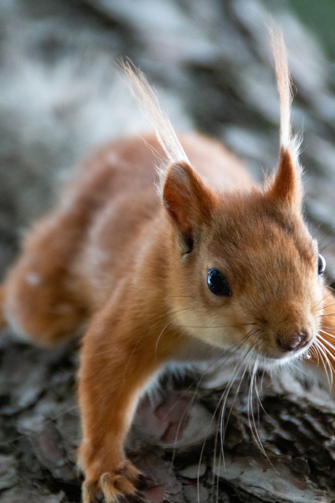 Photograph by Мария Громова