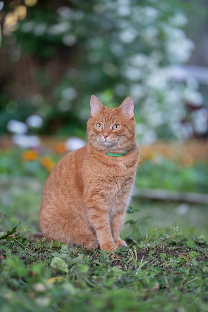 Photograph by Olesya Vladimirova