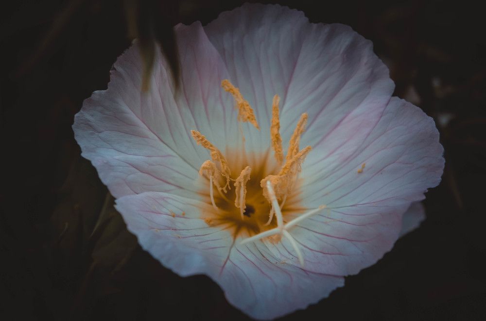 Photograph by Дмитрий Педченко