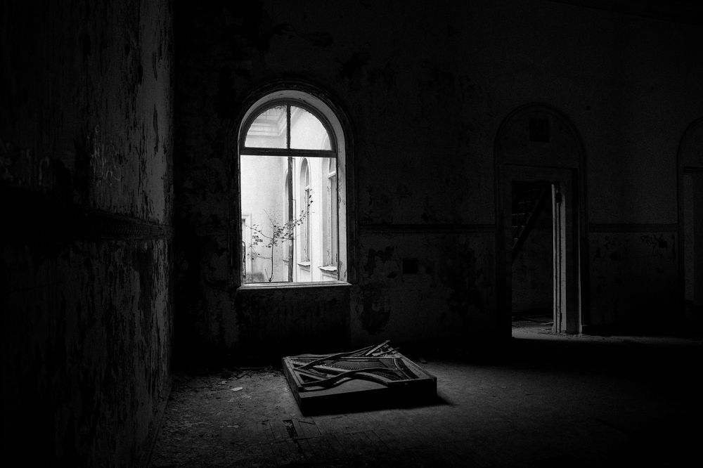 Фотография автора Ксения Добровицкая