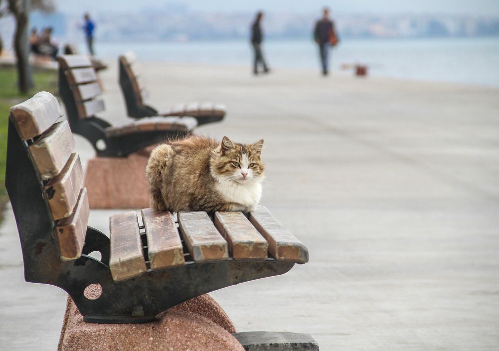 Photograph by Елена Третьякова