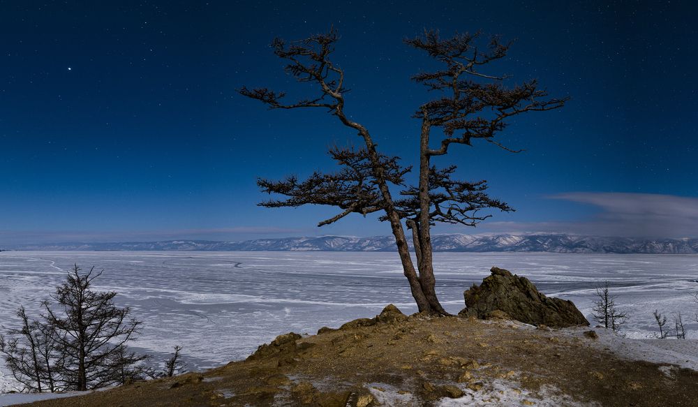 Photograph by Евгений Кармаев