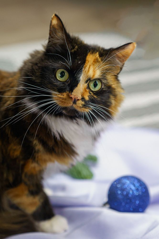 Photograph by Veslava Kaslej