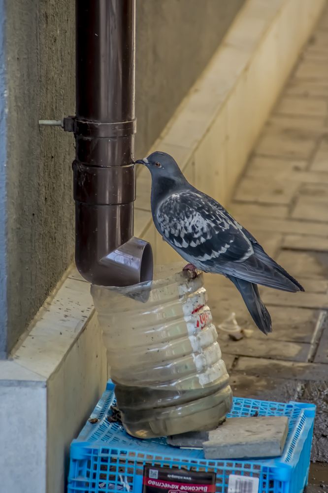 Photograph by Марина Канавченко