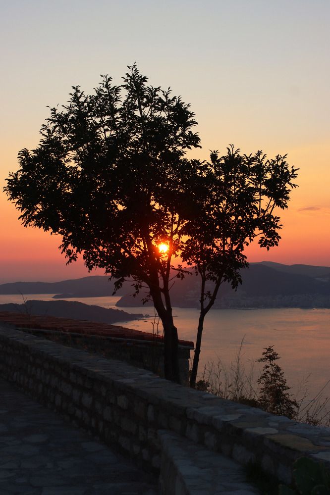 Photograph by Наталья Юденкова