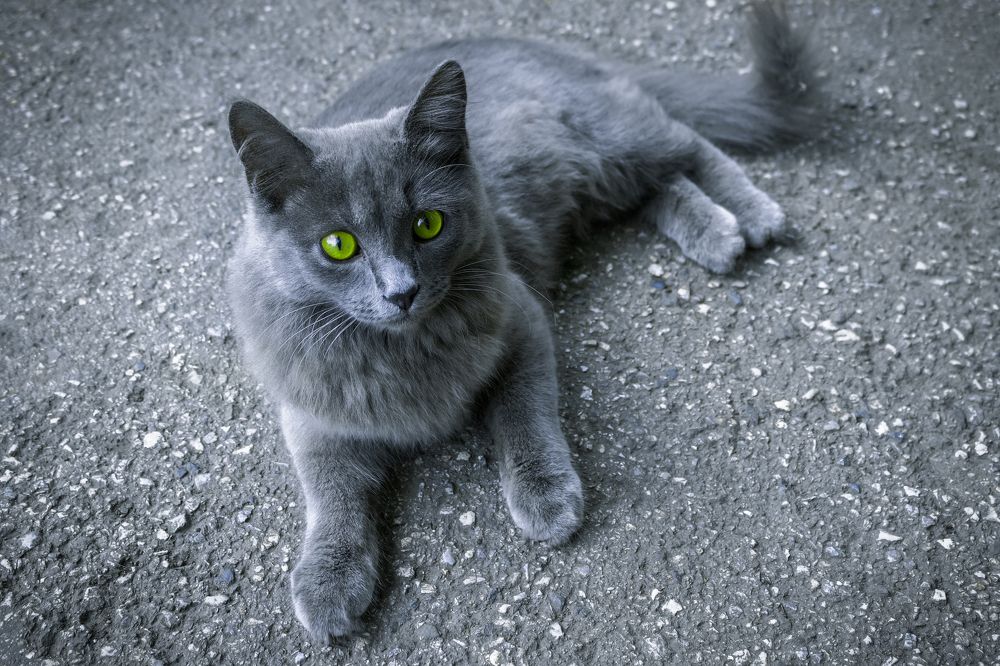 Photograph by Николай Владимирович