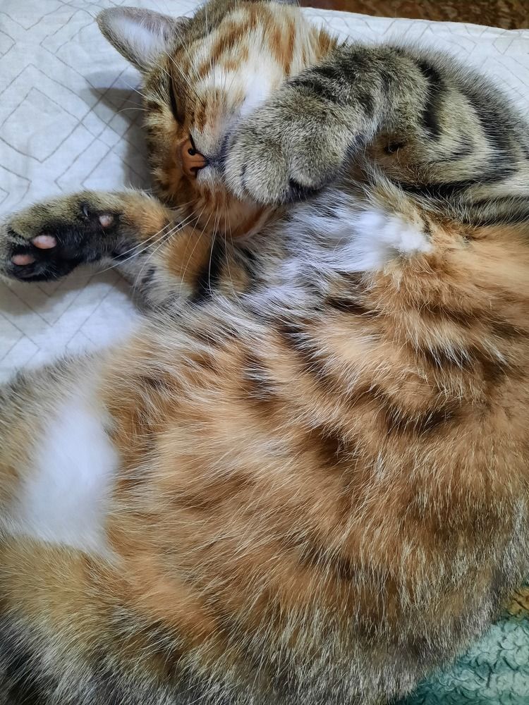 Photograph by Юлия