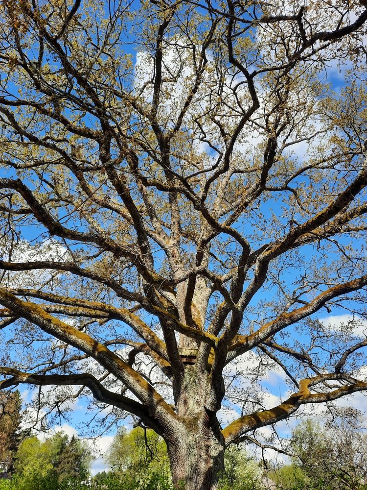 Photograph by Юлия