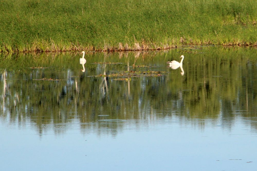 Photograph by Татьяна Иванникова
