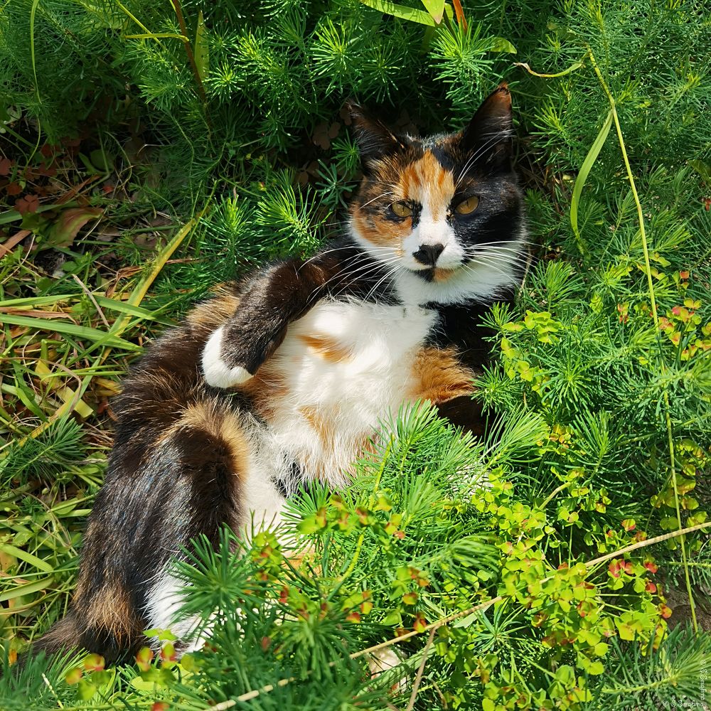 Photograph by Серафима Силина