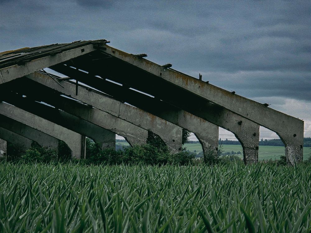 Photograph by Елена Сиушова