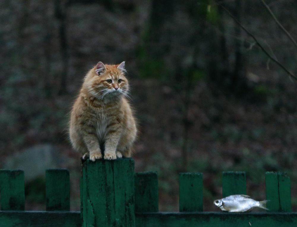 Photograph by Татьяна Исаева