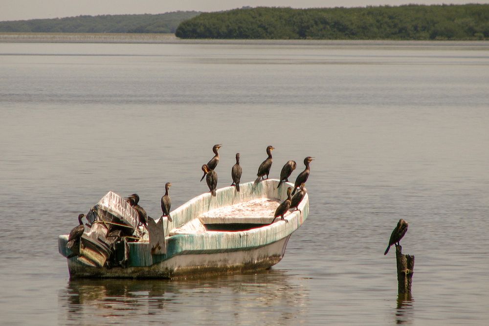 Photograph by Сергей Пушкин