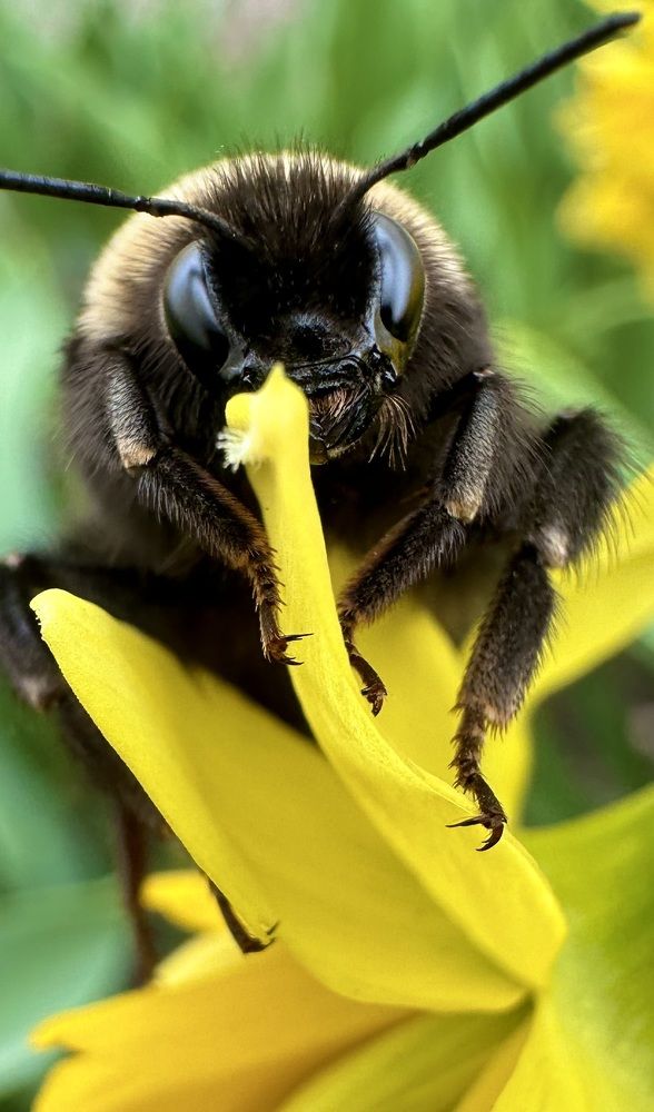 Photograph by Елена Быкова