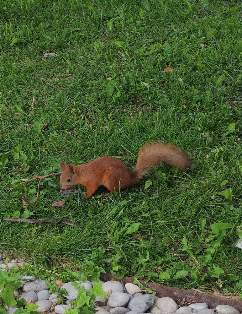 Photograph by Олеся Хижко