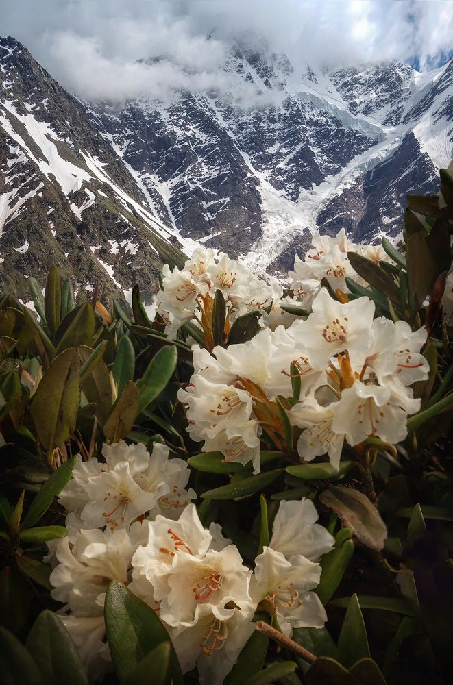 Photograph by Колобов Николай