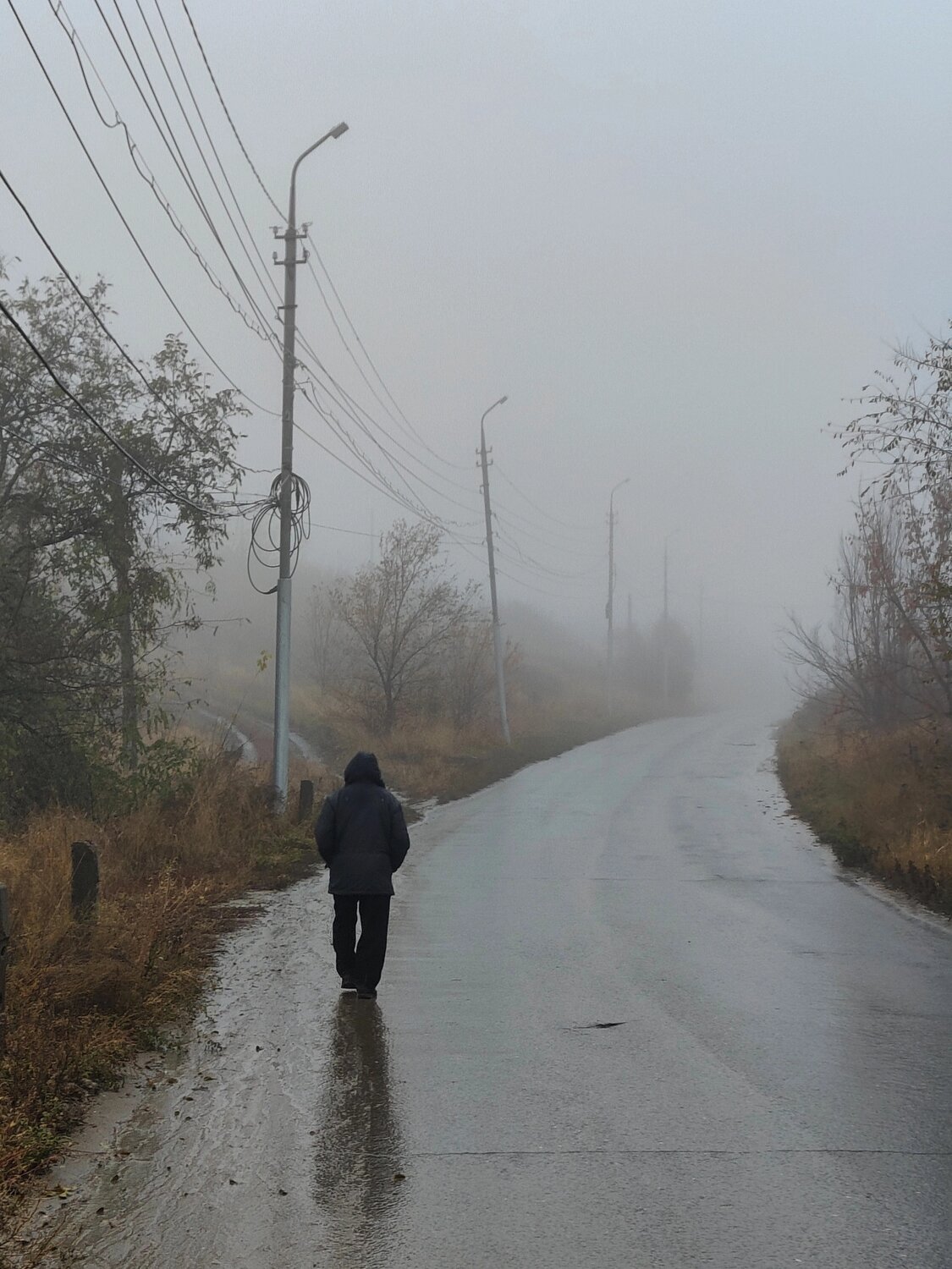 Photo #10768937