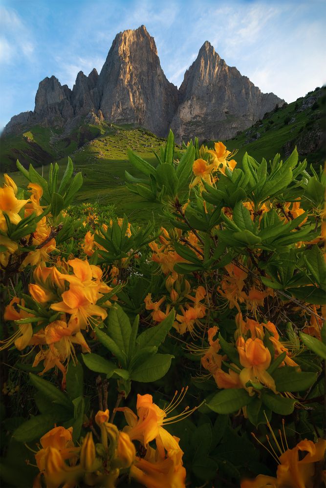 Photograph by Колобов Николай