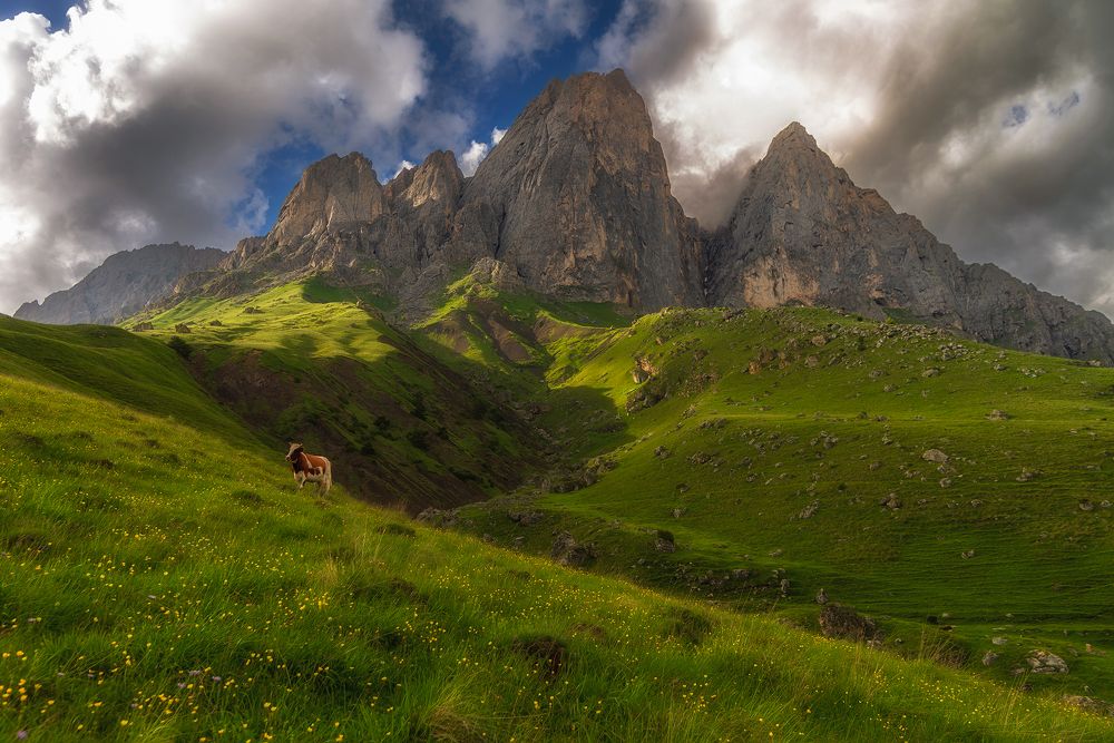 Photograph by Колобов Николай