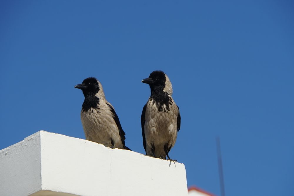 Photograph by сергей мишаков