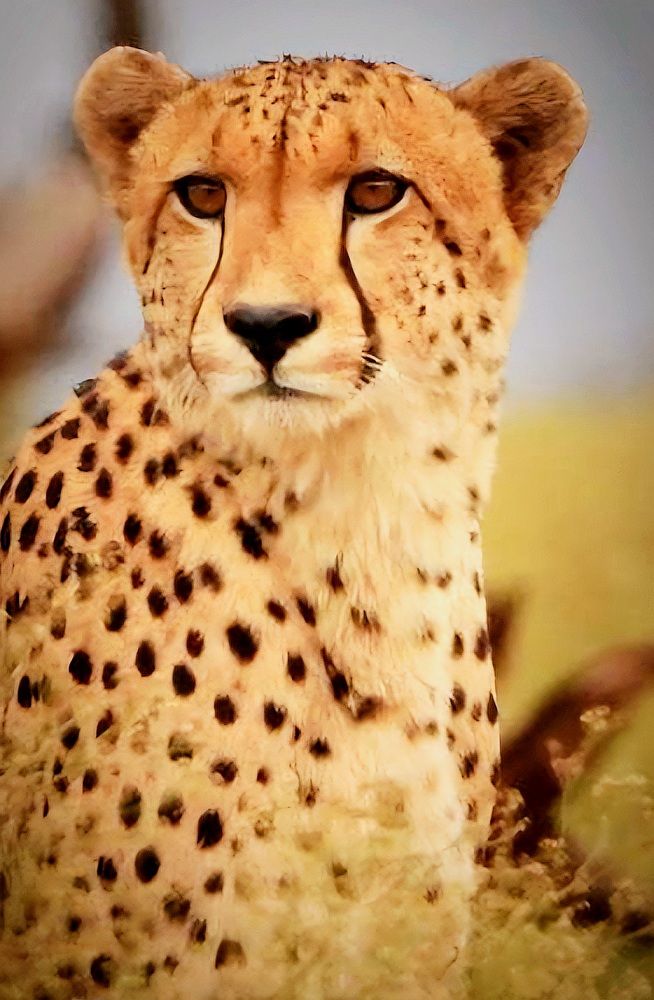 Photograph by Jennifer Cameron