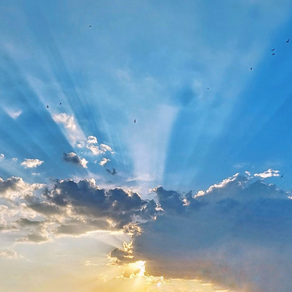 Photograph by Anastasiya Danilova