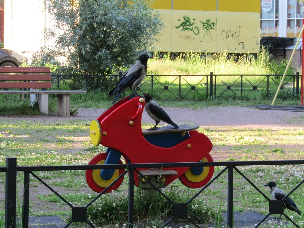 Photograph by Татьяна Смирнова