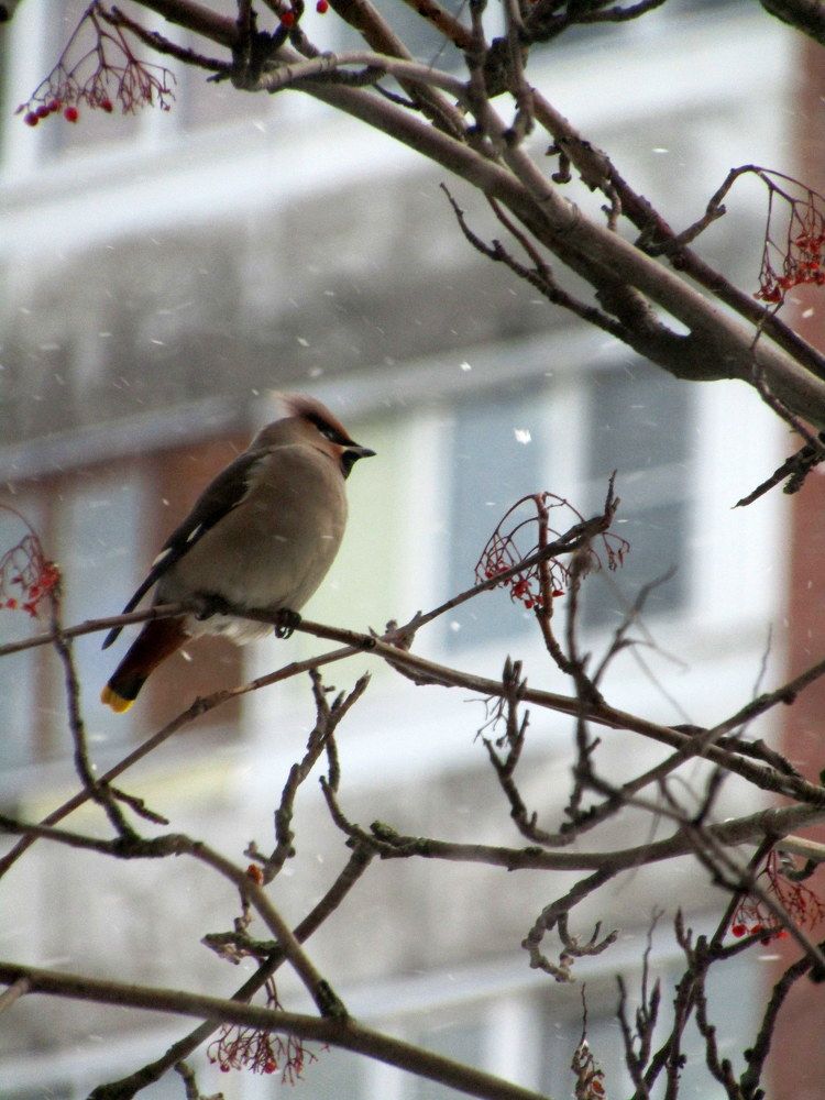 Photograph by Татьяна Смирнова