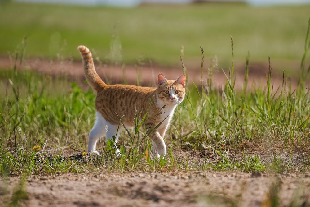 Photograph by Анна Герман