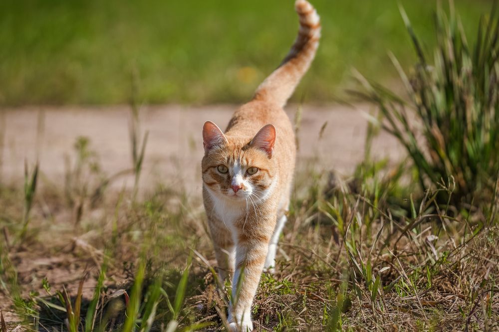 Photograph by Анна Герман