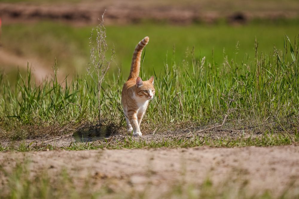 Photograph by Анна Герман