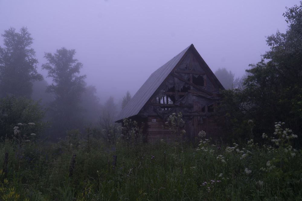 Photograph by Евгения Тупик