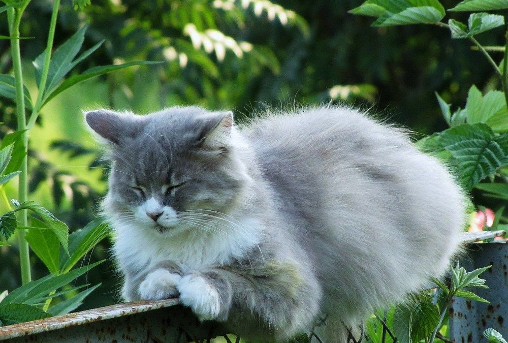 Photograph by Жанна Нечаева