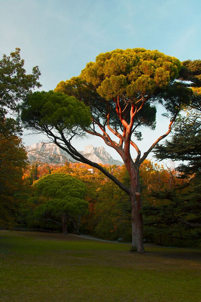 Photograph by Рашид Сафиуллин