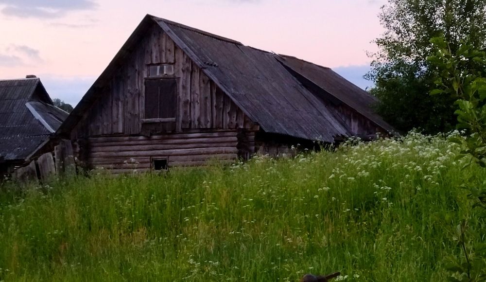 Photograph by Ольга Заповедная