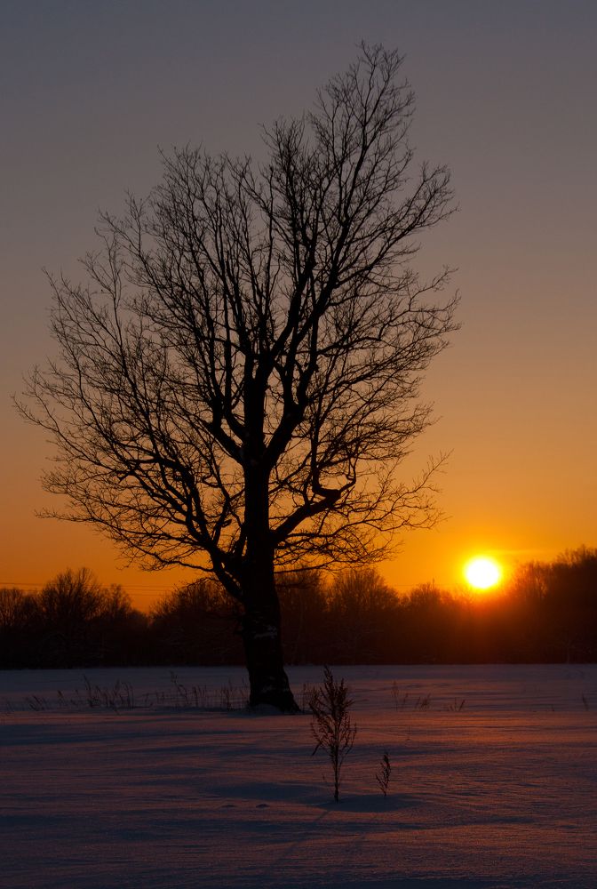 Photograph by Рашид Сафиуллин