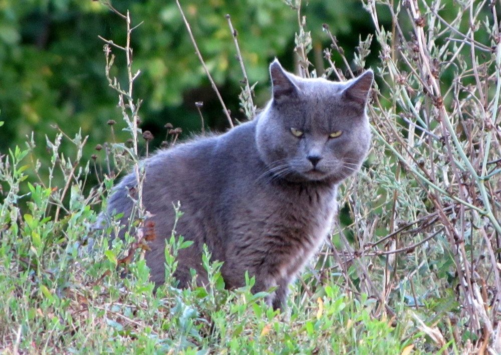 Photograph by Жанна Нечаева